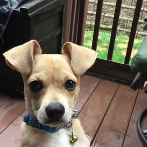 Meet your Posher, Rob